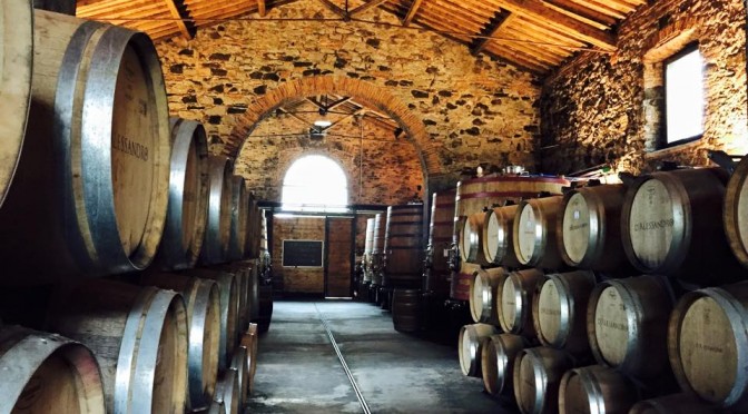 Wine-Tour: Syrah in Toscana – Cortona, Tenimenti D’Alessandro