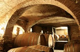 Storie di vini Fatti e vicende della Barbera, il terzo vitigno più diffuso in Italia